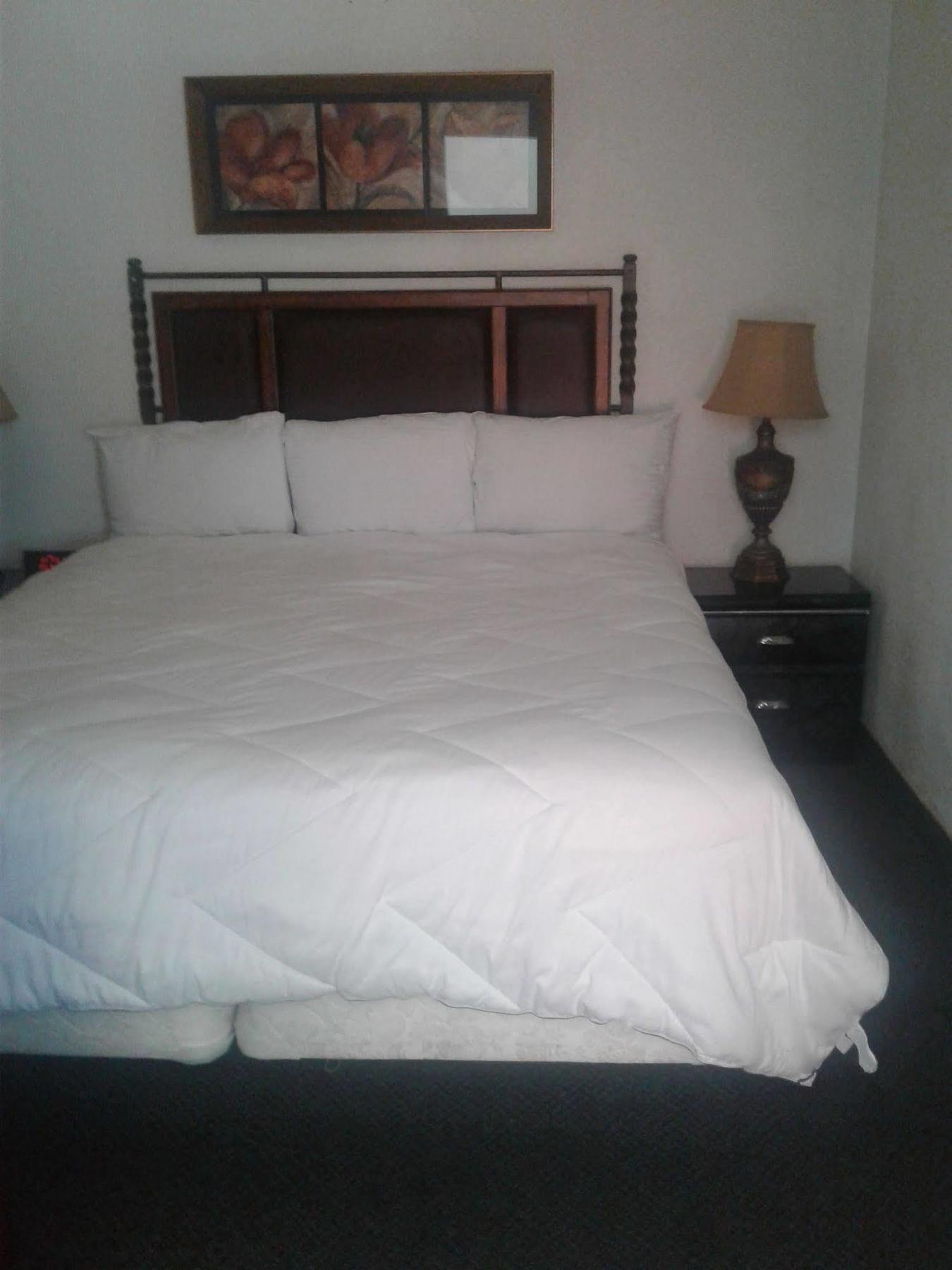Desert Rose Inn Рино Екстериор снимка
