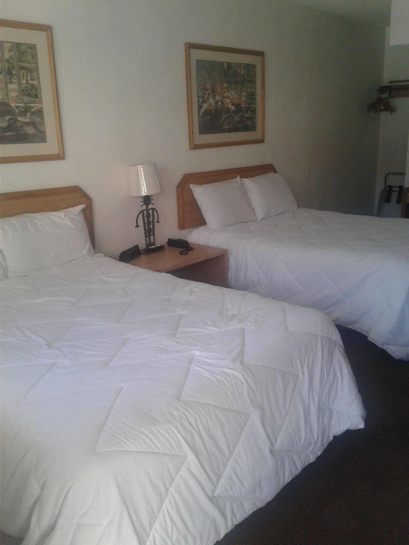 Desert Rose Inn Рино Екстериор снимка